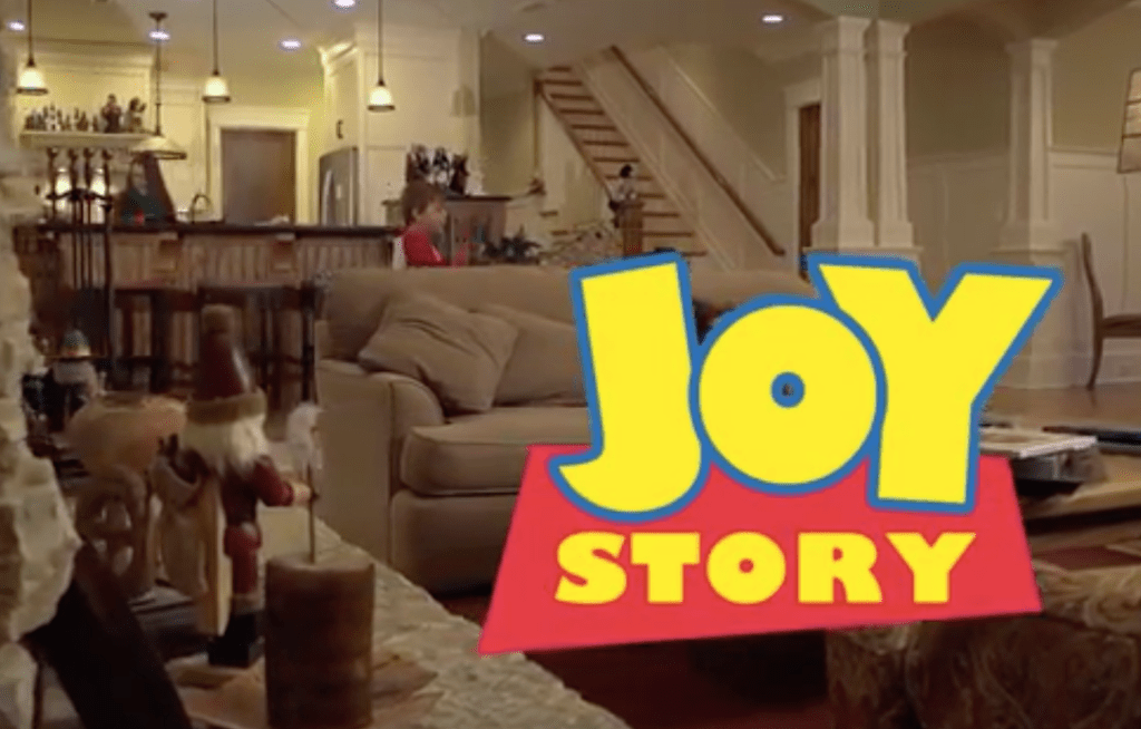 Joy Story